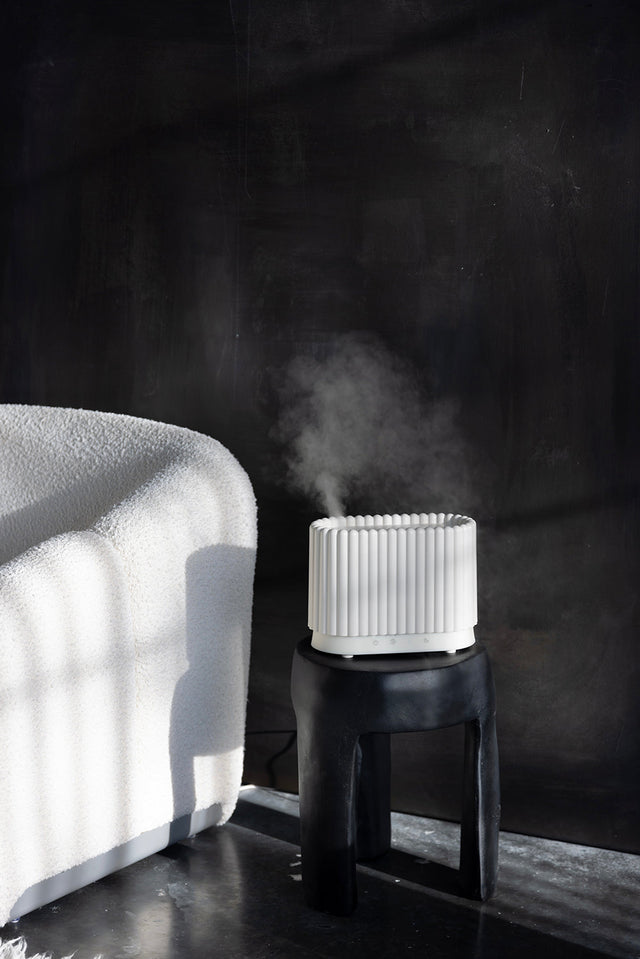 Why Your Home Needs a Humidifier This Winter